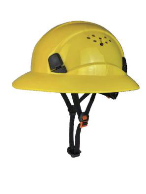 Casque jaune forestier